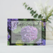 Hydrangeas bleu violet fleuri jardin fleuri RSVP (Debout devant)