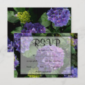 Hydrangeas bleu violet fleuri jardin fleuri RSVP (Devant / Derrière)