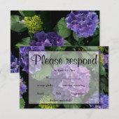 Hydrangeas bleu violet fleuri jardin fleuri RSVP (Devant / Derrière)