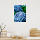 Hydrangeas {Blue} | Poster (Cuisine)