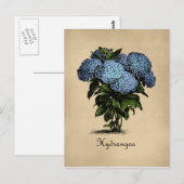 Hydrangeas Botanisch Briefkaart (Voorkant / Achterkant)
