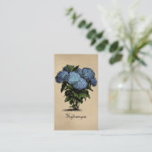 Hydrangeas Botanisch Visitekaartje (Staand voorkant)