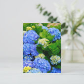 Hydrangeas Briefkaart (Staand voorkant)