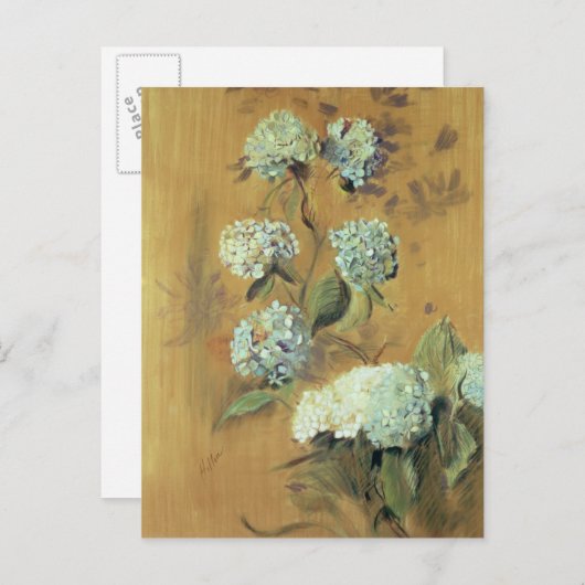 Hydrangeas Briefkaart (Voorkant / Achterkant)