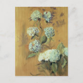 Hydrangeas Briefkaart (Voorkant)