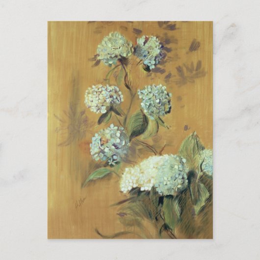 Hydrangeas Briefkaart (Voorkant)