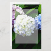 Hydrangeas Briefpapier (Voorkant / Achterkant)