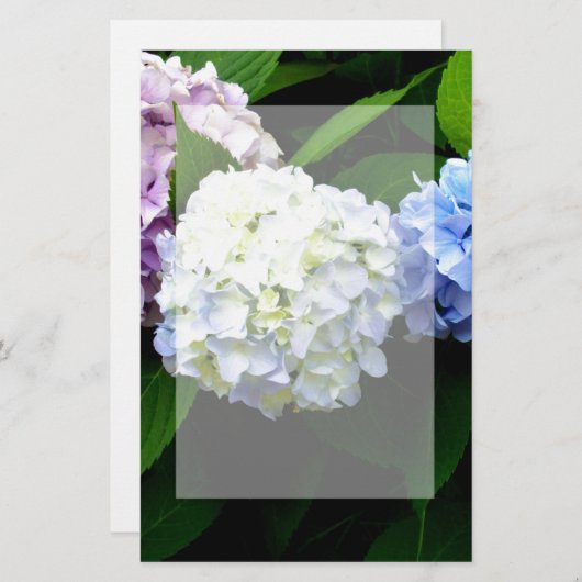 Hydrangeas Briefpapier (Voorkant / Achterkant)