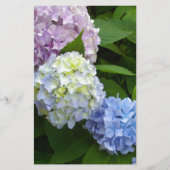 Hydrangeas Briefpapier (Voorkant)