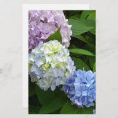 Hydrangeas Briefpapier (Voorkant / Achterkant)