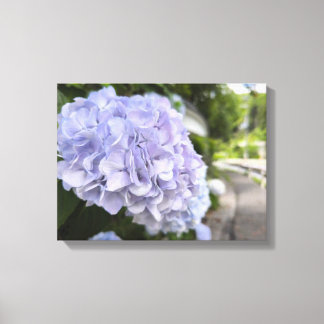 Hydrangeas by the Roadside – Nature Photography Canvas Afdruk