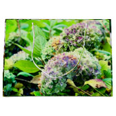 Hydrangeas cadeautas (Voorkant)