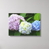 Hydrangeas Canvas Afdruk (Voorkant)