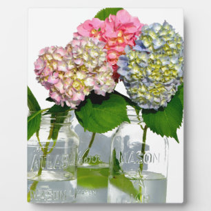 hydrangeas en mason jar fotoplaat