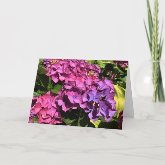 Hydrangeas Feestdagen Kaart (Voorkant)