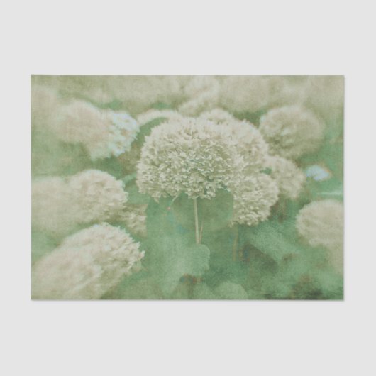 Hydrangeas Floral Green White getextureerd  Tissuepapier (Voorkant)
