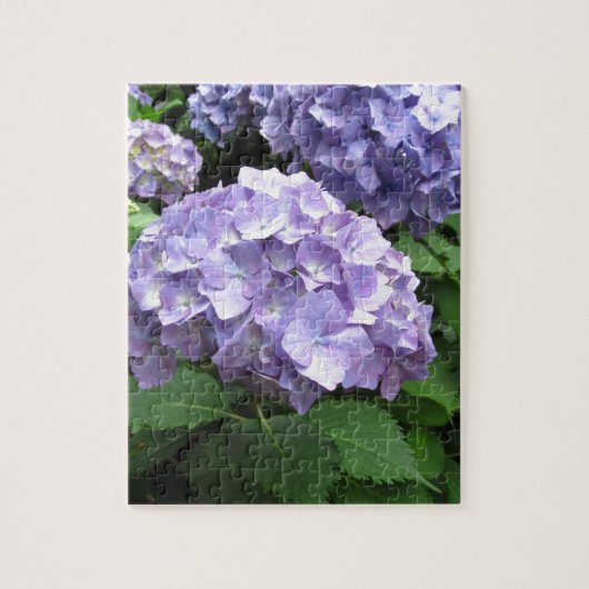 Hydrangeas in de Trebah Gardens, Cornwall Legpuzzel (Verticaal)
