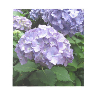 Hydrangeas in de Trebah Gardens, Cornwall Notitieblok