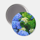 Hydrangeas Magneet (Voorkant / Achterkant)