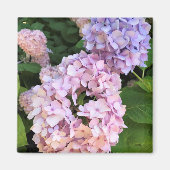 Hydrangeas Magneet (Voorkant)