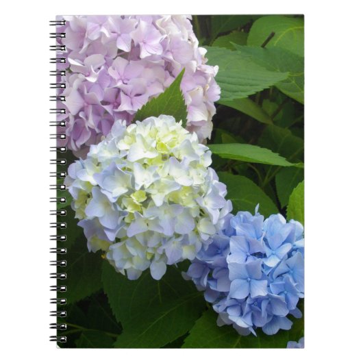 Hydrangeas Notitieboek (Voorkant)