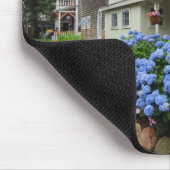 Hydrangeas op de binnenplaats van Martha Muismat (Hoek)