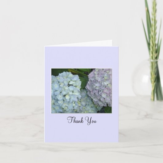 Hydrangeas Pastel Merci (Devant)