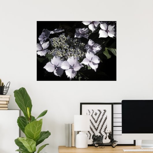 Hydrangeas Poster (Thuiskantoor)