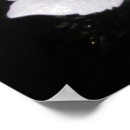 Hydrangeas Poster (Hoek)