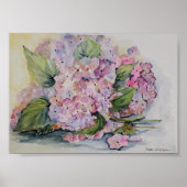 Hydrangeas Poster (Voorkant)