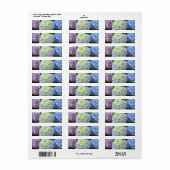 Hydrangeas roze paars blauw etiket (Full Sheet)