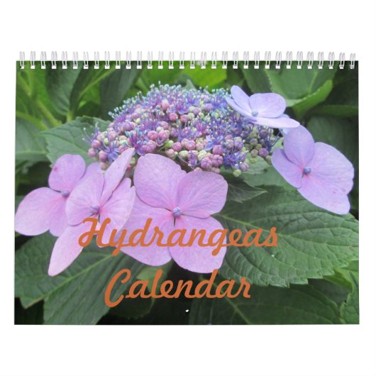 Hydrangeas  ventilatorkalender kalender (Hoes)