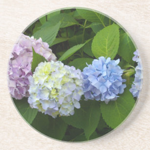 Hydrangeas Zandsteen Onderzetter