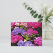 Hydrangebloemen Briefkaart (Staand voorkant)