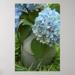 Hydrangée Bleue Avec Poster