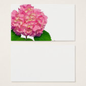 Hydrangée rose rose fleur rose (Devant & derrière)