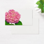 Hydrangée rose rose fleur rose (Bureau)