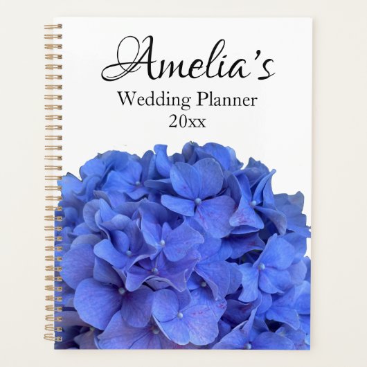 Hydrangée violette bleue fleurs pourpres bleu pour (Devant)