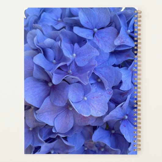 Hydrangée violette bleue fleurs pourpres bleu pour (Dos)