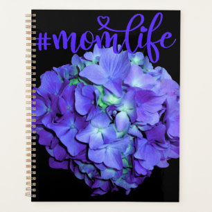 Hydrangée violette et turquoise, fleurs bleu viole