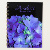 Hydrangée violette et turquoise, fleurs bleu viole (Devant)