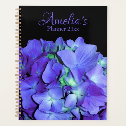 Hydrangée violette et turquoise, fleurs bleu viole (Devant)