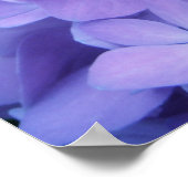 Hydrangées {violet} | Poster (Coin)