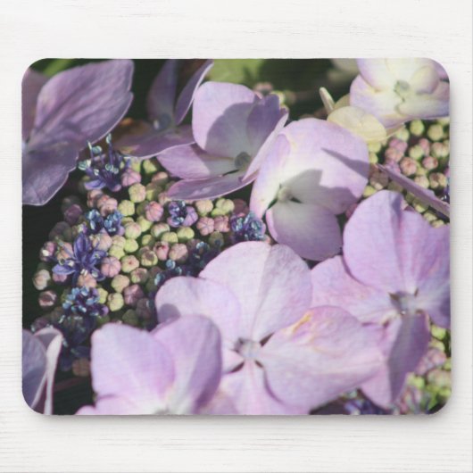 Hydrangia heeft een muismat (Voorkant)