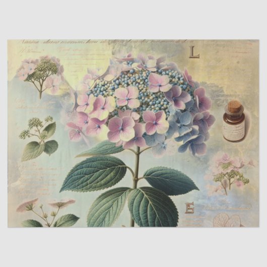 Hydrangie Tissuepapier (Voorkant)