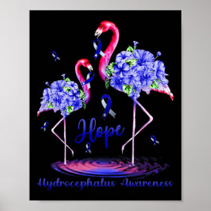 Hydrocephalus Awareness Poster