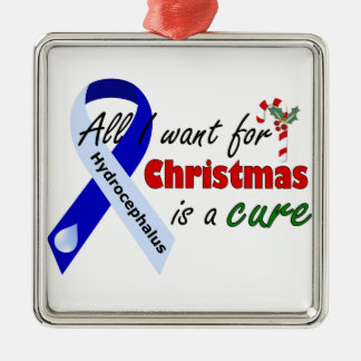 Hydrocephalus Cure kerstversiering Metalen Ornament