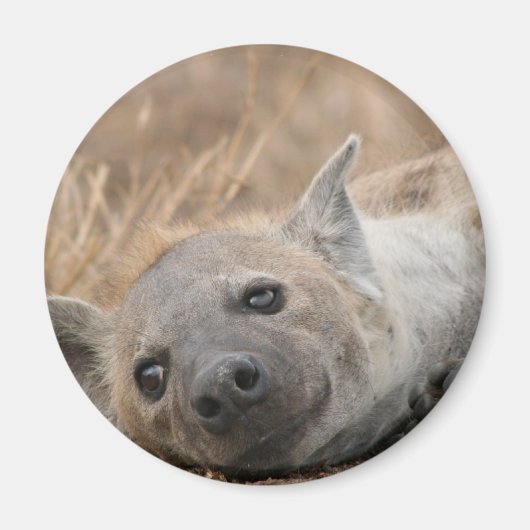 Hyena Afbeelding magneet (Voorkant)