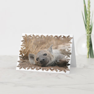 Hyena Afbeelding Wenskaart Kaart