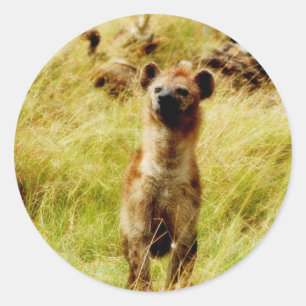 Hyena avec autocollant de gnous (gnu)